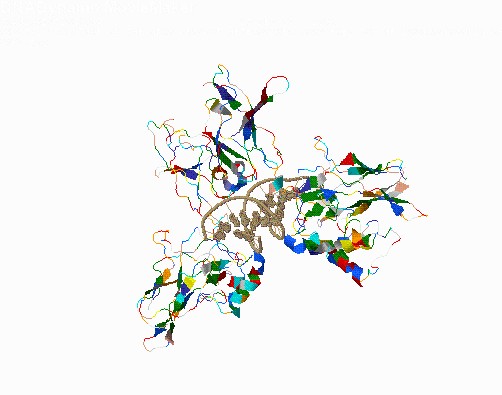 Protein Structure Viewer