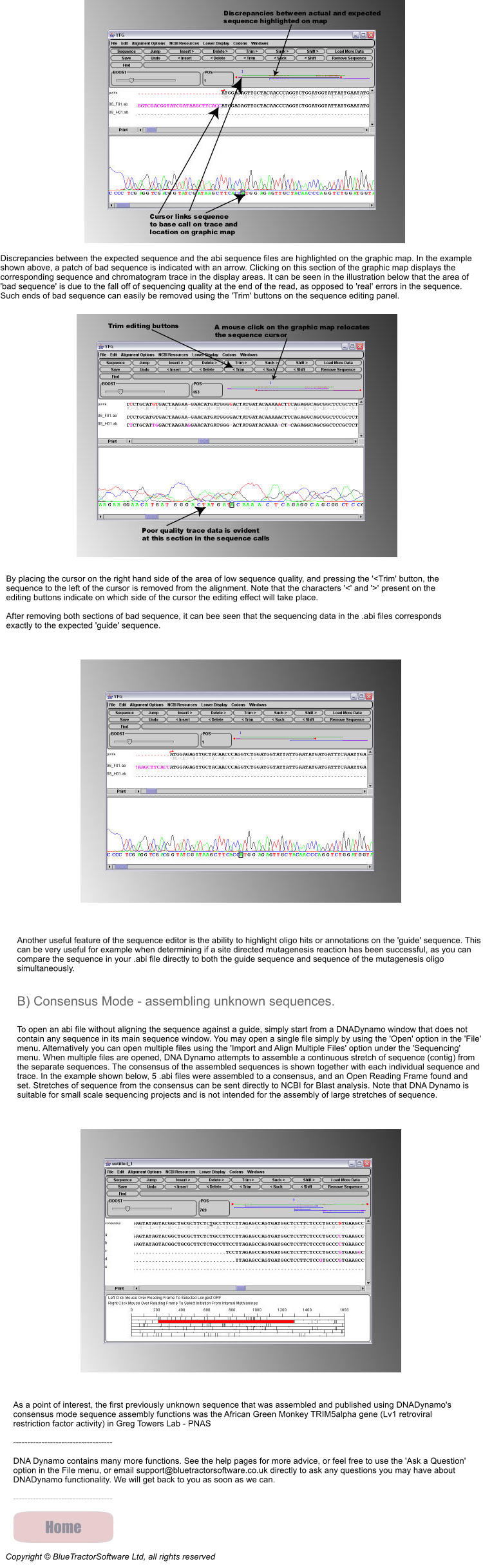 Discrepancies between the expected sequence and the abi sequence files are highlighted on the graphic map. In the example shown above, a patch of bad sequence is indicated with an arrow. Clicking on this section of the graphic map displays the corresponding sequence and chromatogram trace in the display areas. It can be seen in the illustration below that the area of 'bad sequence' is due to the fall off of sequencing quality at the end of the read, as opposed to 'real' errors in the sequence. Such ends of bad sequence can easily be removed using the 'Trim' buttons on the sequence editing panel. By placing the cursor on the right hand side of the area of low sequence quality, and pressing the '<Trim' button, the sequence to the left of the cursor is removed from the alignment. Note that the characters '<' and '>' present on the editing buttons indicate on which side of the cursor the editing effect will take place.  After removing both sections of bad sequence, it can bee seen that the sequencing data in the .abi files corresponds exactly to the expected 'guide' sequence.  Another useful feature of the sequence editor is the ability to highlight oligo hits or annotations on the 'guide' sequence. This can be very useful for example when determining if a site directed mutagenesis reaction has been successful, as you can compare the sequence in your .abi file directly to both the guide sequence and sequence of the mutagenesis oligo simultaneously.  B) Consensus Mode - assembling unknown sequences.  To open an abi file without aligning the sequence against a guide, simply start from a DNADynamo window that does not contain any sequence in its main sequence window. You may open a single file simply by using the 'Open' option in the 'File' menu. Alternatively you can open multiple files using the 'Import and Align Multiple Files' option under the 'Sequencing' menu. When multiple files are opened, DNA Dynamo attempts to assemble a continuous stretch of sequence (contig) from the separate sequences. The consensus of the assembled sequences is shown together with each individual sequence and trace. In the example shown below, 5 .abi files were assembled to a consensus, and an Open Reading Frame found and set. Stretches of sequence from the consensus can be sent directly to NCBI for Blast analysis. Note that DNA Dynamo is suitable for small scale sequencing projects and is not intended for the assembly of large stretches of sequence.  As a point of interest, the first previously unknown sequence that was assembled and published using DNADynamo's consensus mode sequence assembly functions was the African Green Monkey TRIM5alpha gene (Lv1 retroviral restriction factor activity) in Greg Towers Lab - PNAS  -----------------------------------  DNA Dynamo contains many more functions. See the help pages for more advice, or feel free to use the 'Ask a Question' option in the File menu, or email support@bluetractorsoftware.co.uk directly to ask any questions you may have about DNADynamo functionality. We will get back to you as soon as we can.  ----------------------------------- Copyright  BlueTractorSoftware Ltd, all rights reserved Home Home