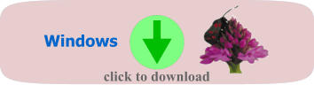 Windows click to download